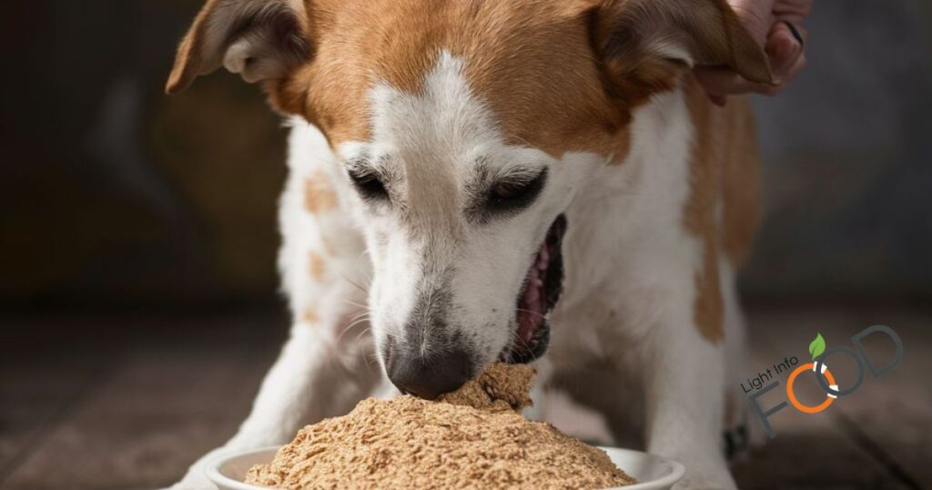 Is Chicken Meal Good for Dogs?