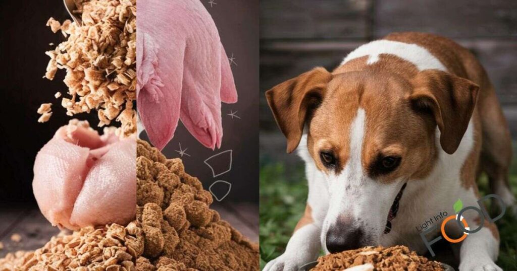 Why Is Chicken Meal Used in Dog Food?