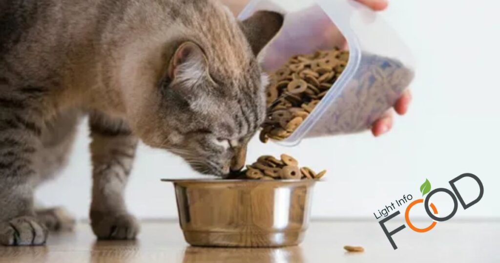 Are There Any Recalls Or Safety Concerns With Nulo Cat Food?