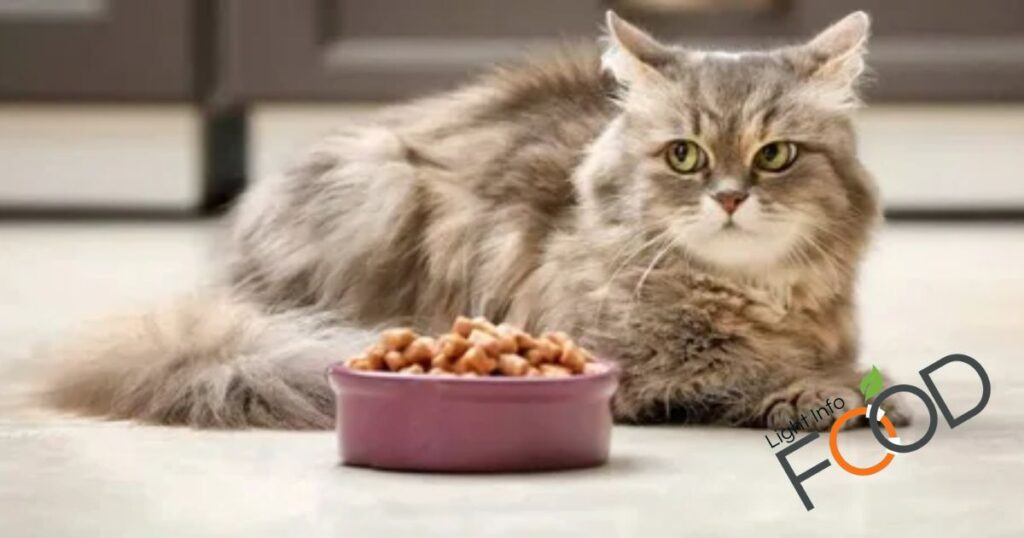 Is Nulo Cat Food Good For Cats?