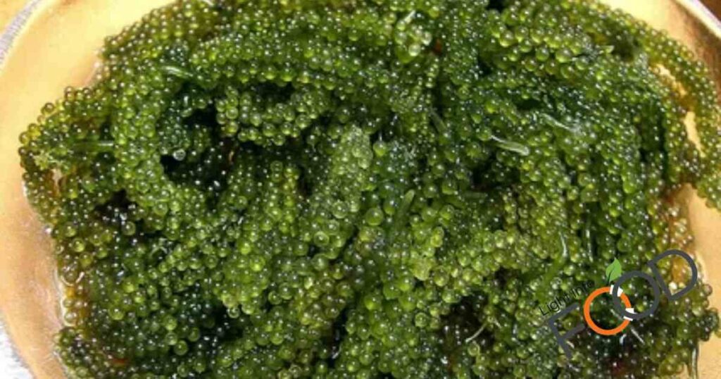  Umibudo (Sea Grapes)