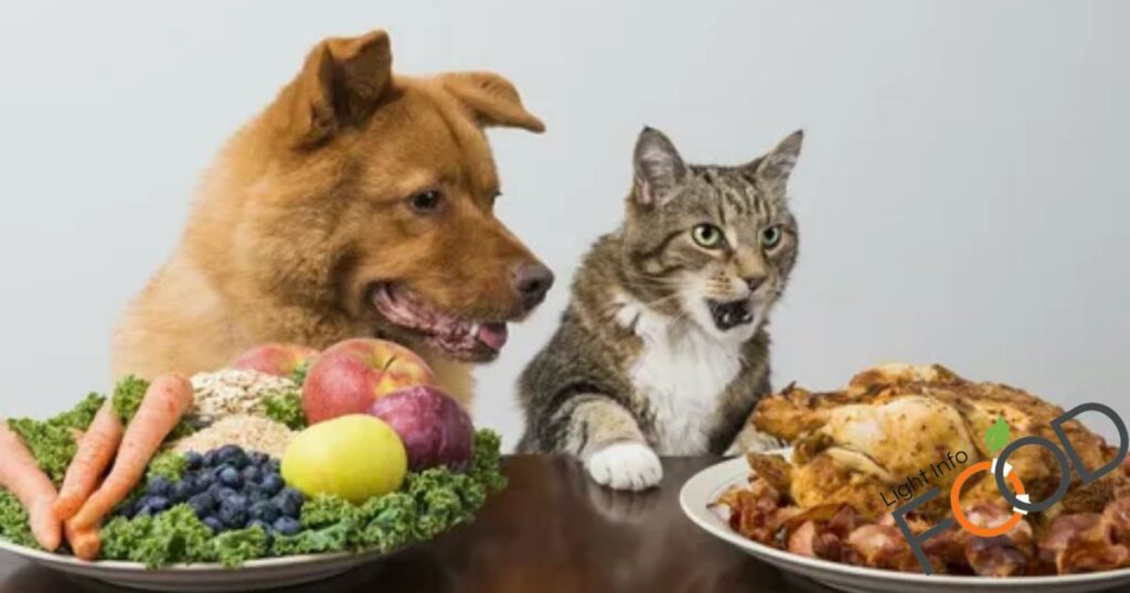 What Is The Best Food For Dogs Every Day?