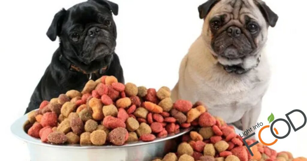 Which Is the Best Dog Food Brand?