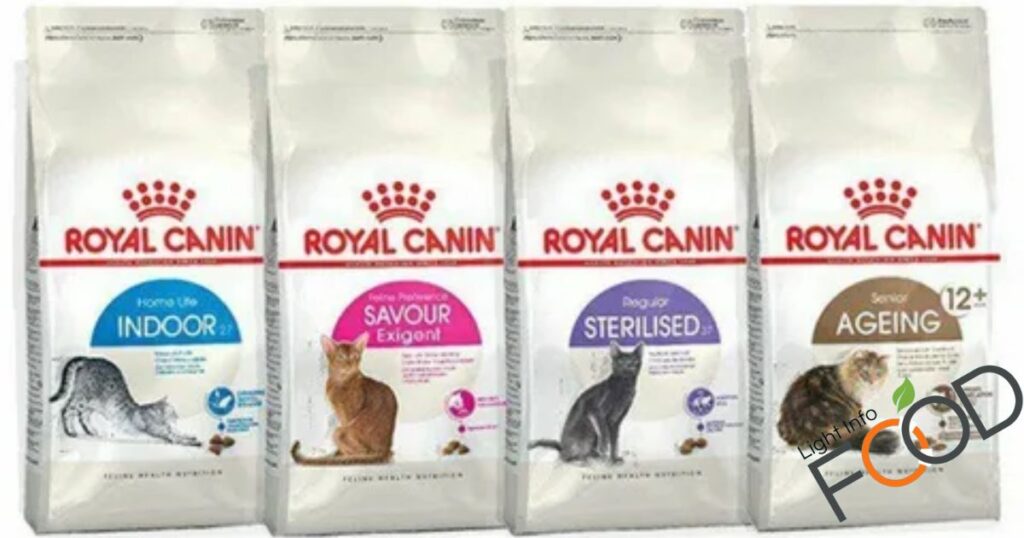 How Many Times Should I Feed Royal Canin?